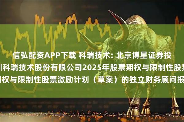 信弘配资APP下载 科瑞技术: 北京博星证券投资顾问有限公司关于深圳科瑞技术股份有限公司2025年股票期权与限制性股票激励计划（草案）的独立财务顾问报告内容摘要