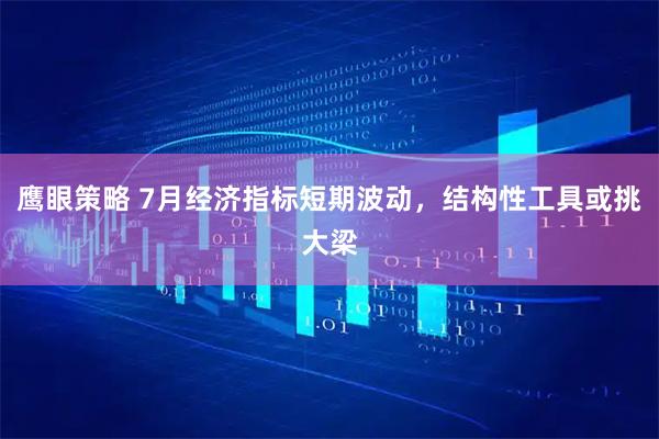 鹰眼策略 7月经济指标短期波动，结构性工具或挑大梁