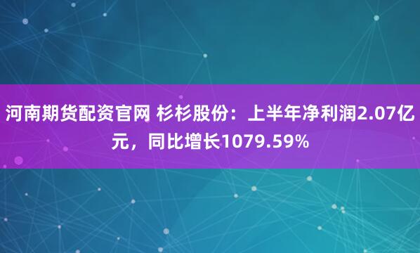 河南期货配资官网 杉杉股份：上半年净利润2.07亿元，同比增长1079.59%
